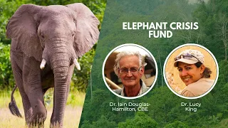 Protecting Elephants in Kenya | Wildlife Conservation Expo 2022