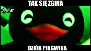 TAK SIĘ ZGINA DZIÓB PINGWINA 😎🔥