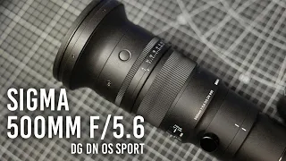 Sigma 500mm f/5.6: An Easily Handheld Super Telephoto Lens!