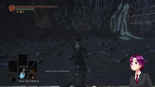 [Dark Souls 3] Champions Ashes First Go