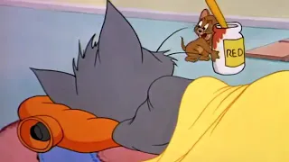 Том и жериь (Tom i Jerry)