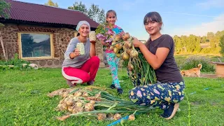 We harvested onions and cooke dmozhdey for potatoes