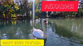 Парк лебедей 🦢 в Новом Афоне. Погода в Абхазии в марте. Абхазия 2023