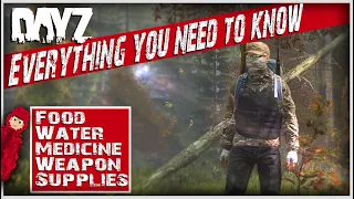 The only DayZ beginner's guide you'll probably ever need | How to find food, medicine, etc