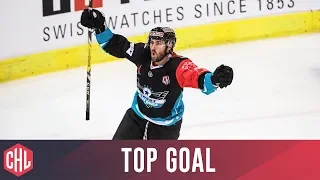 Dan DaSilva - Black Wings Linz | Top Goal 2016/17