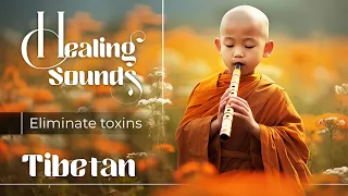 Tibetan sound helps to soothe the mind and stress | Healing physical, emotional and mental damage