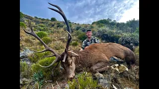 South Island Hunting Trip 2023 - Big Stag, 10.5" Cham Buck and 12 7/8" Bull Tahr