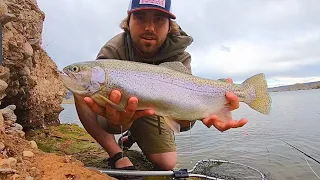 Chasing BIG Rainbow Trout w/ the Fly Rod!! (Catch & Cook)