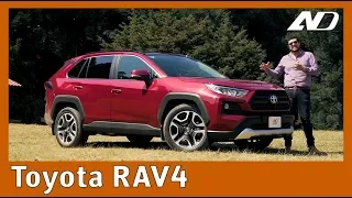 Toyota RAV4 - El macho vegano de las SUV's