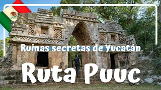 La ESPECTACULAR RUTA PUUC! Zonas Arqueológicas secretas de Yucatán! - Luisitoviajero