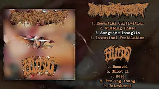 Pharmacist / Fluids - Feeling Young split LP FULL ALBUM (Goregrind / Deathgrind)