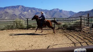 Pat's First Ride on Blue