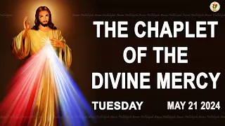 Chaplet of the Divine Mercy I Tuesday May 21 2024 I Divine Mercy Prayer I 12.00 PM