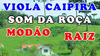 MODA RAIZ NO MUNDO CAIPIRA - O SOM DO HOMEM DO CAMPO PARA VIAJAR PRA ROÇA