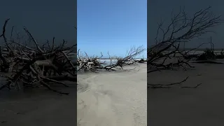 Abandoned beach