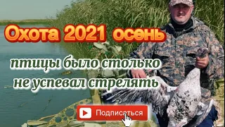 Лучшая охота этой осенью!Охота осень 2021/охота на утку осенью/охота на гуся осен/открытие АСТРАХАНЬ