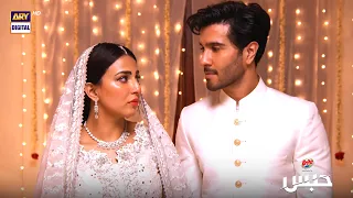 Couple Best Scene | Feroze Khan | Ushna Shah #Habs