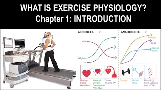 Exercise Physiology CrashCourse - Introduction - What is Exercise Physiology