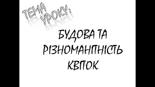 БУДОВА ТА РІЗНОМАНІТНІСТЬ КВІТОК