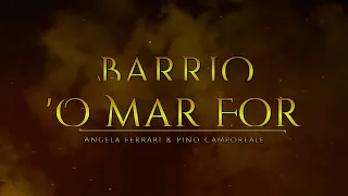 Sigla 'O Mar For " (Mare Fuori)  "Barrio"  Cover