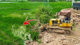 OMG!! Incredible Tree Move Propelling forward with force by Powerful KOMATSU D31P Bulldozer