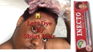 Dye My Hair With Me Part 1 || South African YouTuber🇿🇦 ||