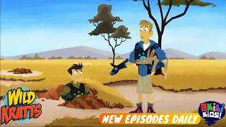 Wild Kratts | The Burrow Builders Of Africa | Akili Kids!