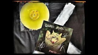 GUANO APES - Proud Like a God (Vinyl Review)