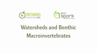 Ontario Envirothon Virtual Lab: Watersheds and Benthic Macroinvertebrates