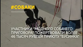 В Барнауле прошел благотворительный "Собачий модный приговор"