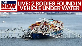 Live: Latest in Baltimore Key bridge collapse investigation, other top stories | LiveNOW from FOX