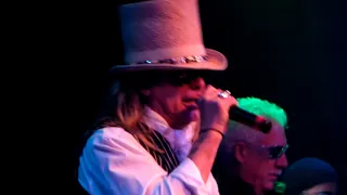 Robin Zander - If You Need Me LIVE 2013