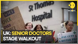 UK: Senior doctors stage first strike in a decade | Latest News | WION