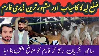 Exploring Farm Life: Guided Tour of Our Dairy Farm! layyah Dairy farm