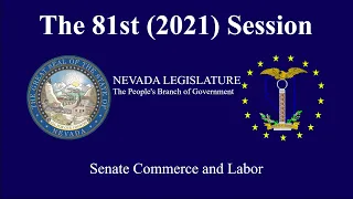 2/10/2021 - Senate Committee on Commerce and Labor