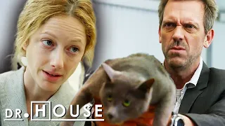 El Misterio de la Gata que Predice la Muerte | Dr. House: Diagnóstico Médico