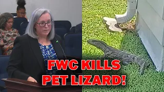 FWC Kills Pet Lizard Spotted In Orlando Yard