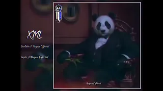 Panda English song 🔖🏷️ Aligh motion 🦋🖇️🥀🌼 xml file link description 🔰🔰🎀🎁🖇️ #nayanofficial