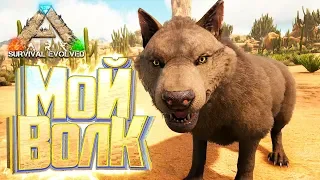 Топовые ВОЛКИ - ARK Survival Выжженные Земли #5