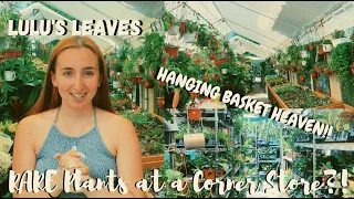 RARE House Plant Shopping at a CONVENIENCE Store?! | 21 Seven Market Nursery Tour