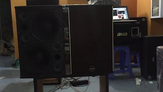 Loa chính hãng CAF L210 2 bass 25, 4trel. Chất âm cực hay| Đặng Tín Audio| 0916.957.808