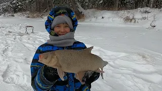 МЫ НА РЫБАЛКЕ НОЧЬЮ И ДНЁМ! БЫЛО КЛЁВО И РЫБА РАЗНАЯ КЛЕВАЛА, ДАЖЕ РЕДКАЯ) НА ЛЮБИМОЙ РЕКЕ ЕТЫ-ПУР!