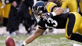 Troy Polamalu career highlights