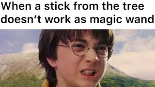 Harry Potter Memes Every Muggle Will Love