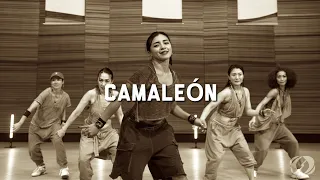 CAMALEON /SALSATION®︎ Choreography by SMT Grace & Kansai SEI TEAM