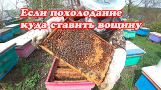 КАК РАСШИРИТЬ ПЧЕЛИННУЮ СЕМЬЮ ВОЩИНОЙ РАННЕЙ ВЕСНОЙ НА ЦВЕТЕНИЕ САДОВЫХ