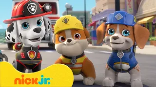 Rubble i jego Ekipa | PSI Patrol spotyka Ekipę! | Nick Jr. Polska