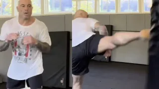 Joe Rogan INSANE spin Kicks (2022)