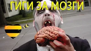 Новая акция Билайна «Гиги за мозги»