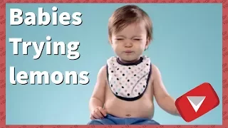 Babies Trying Lemons For The First Time [2017] (TOP 10 VIDEOS)